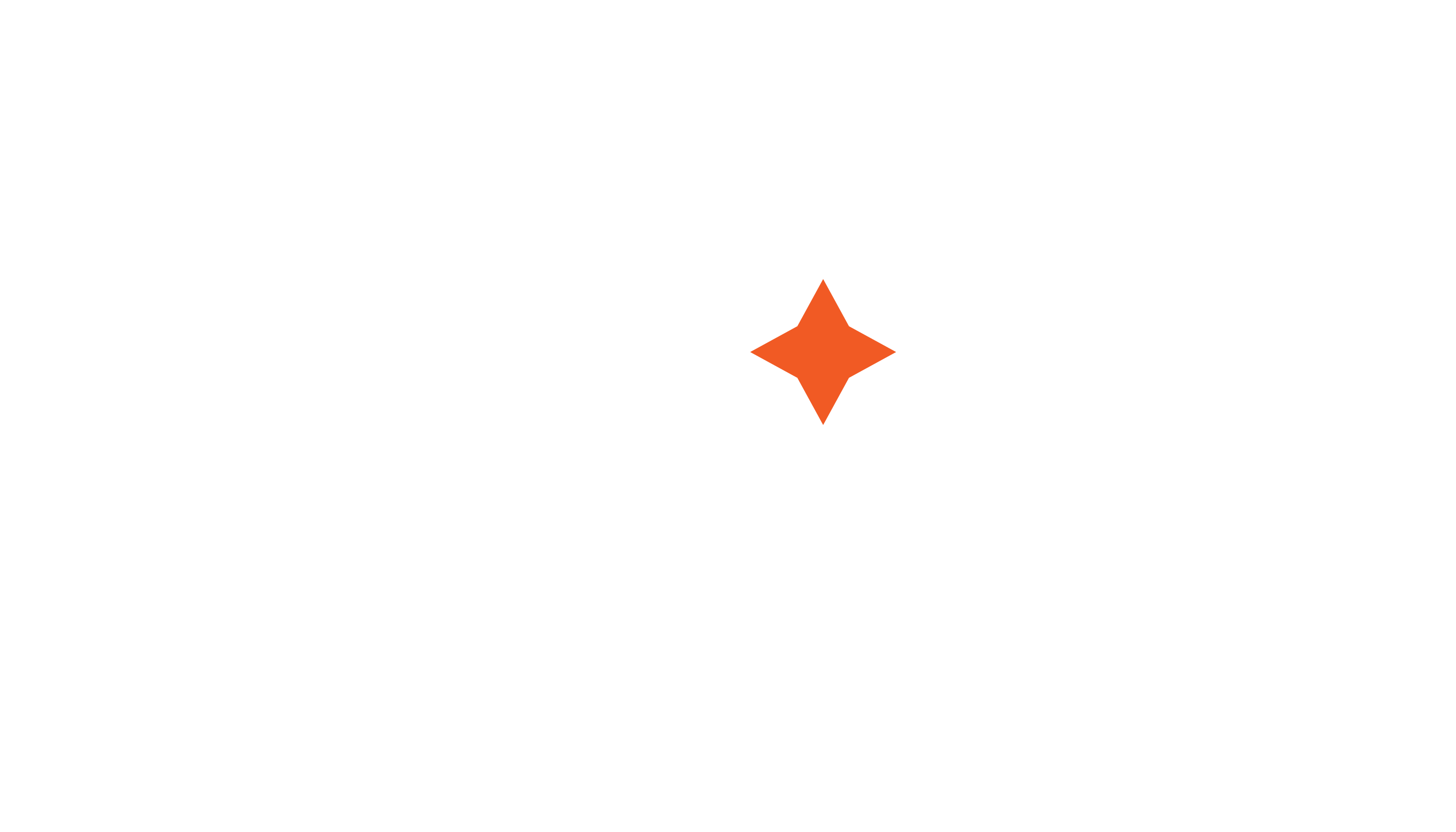 South Star Agency logo